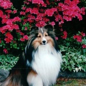 Meet your Posher, Jan